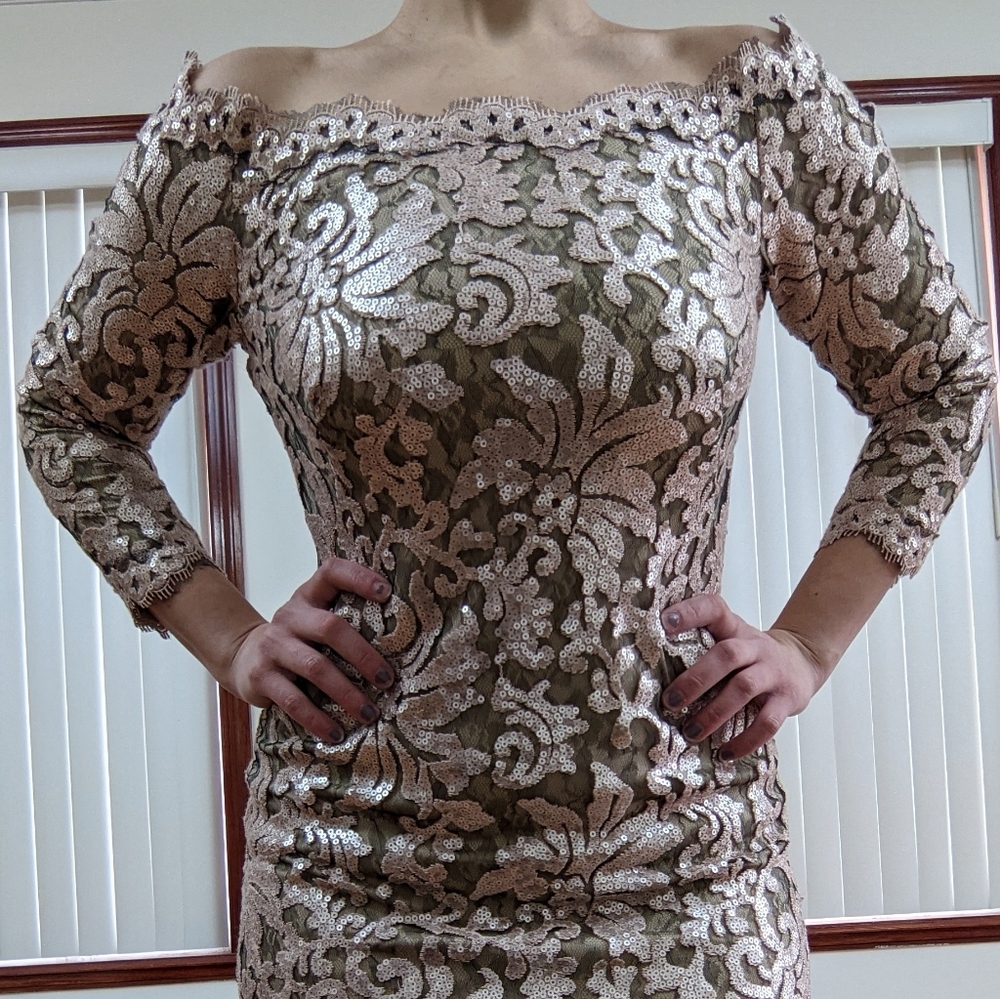 Tadashi Shoji size 2 Gold and Lace Never Worn